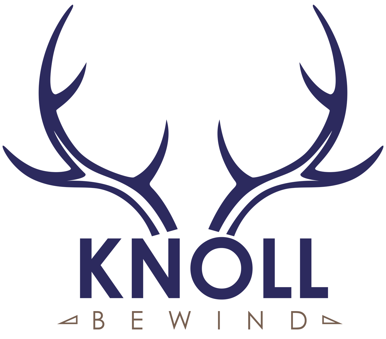 Knoll BeschermingsBewind en VermogensBewind